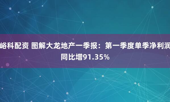 峪科配资 图解大龙地产一季报：第一季度单季净利润同比增91.35%