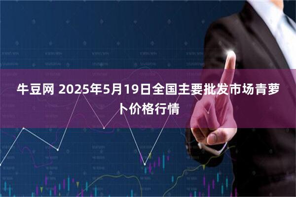 牛豆网 2025年5月19日全国主要批发市场青萝卜价格行情