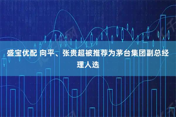 盛宝优配 向平、张贵超被推荐为茅台集团副总经理人选