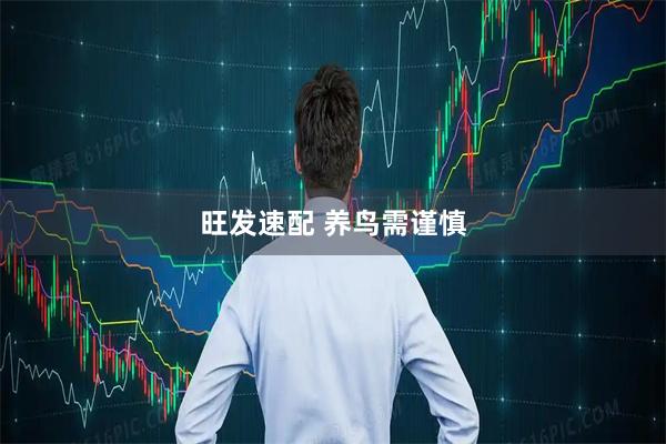 旺发速配 养鸟需谨慎
