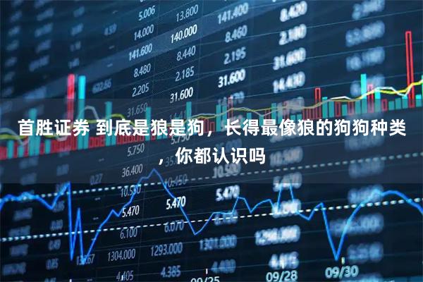 首胜证券 到底是狼是狗，长得最像狼的狗狗种类，你都认识吗