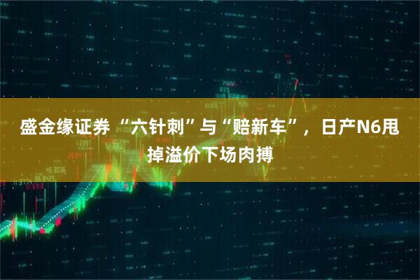 盛金缘证券 “六针刺”与“赔新车”，日产N6甩掉溢价下场肉搏