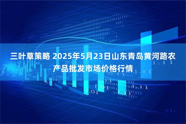 三叶草策略 2025年5月23日山东青岛黄河路农产品批发市场价格行情