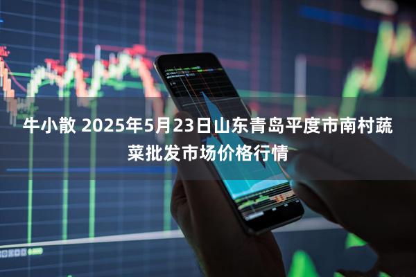 牛小散 2025年5月23日山东青岛平度市南村蔬菜批发市场价格行情