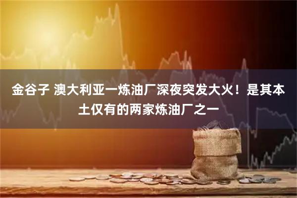 金谷子 澳大利亚一炼油厂深夜突发大火！是其本土仅有的两家炼油厂之一