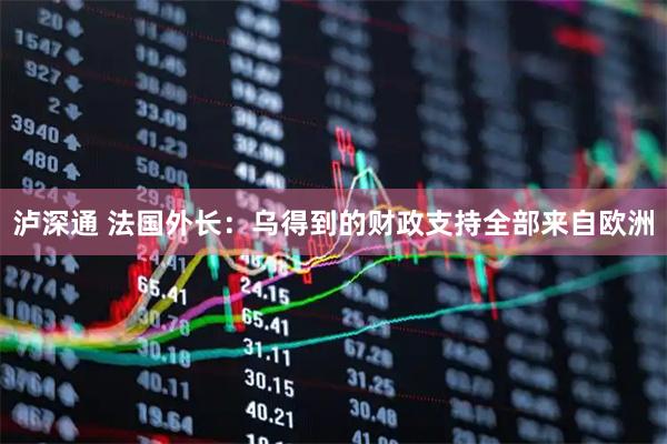 泸深通 法国外长：乌得到的财政支持全部来自欧洲